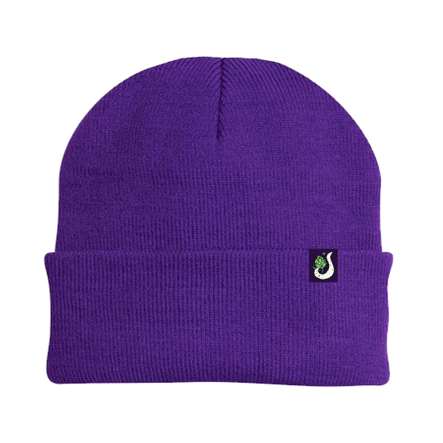 Space Dust "Galaxy" Beanie - Elysian Brewing Company